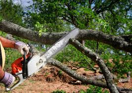  Rockwood, VA Tree Removal and Landscaping Services Pros